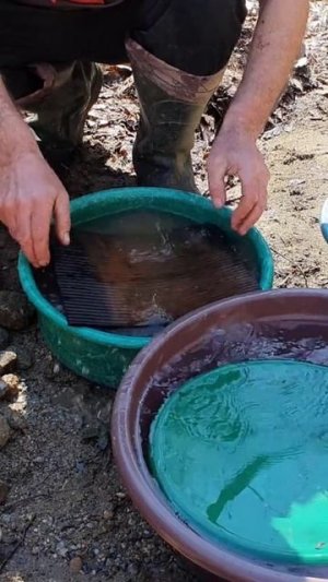 В поиске золота