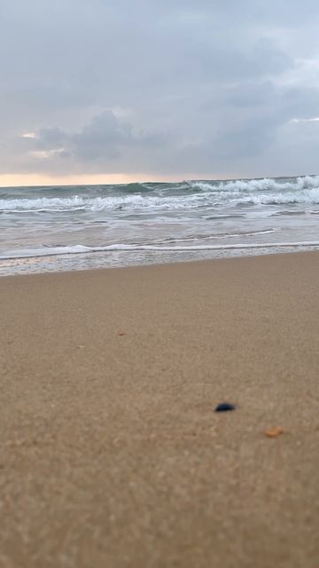 Жизнь у моря!