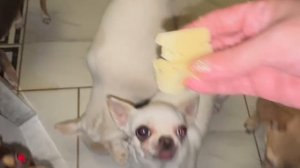 Все им надо выпросить, поделили завтрак.