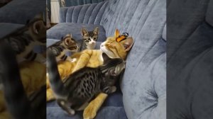 хех прикольно наверное