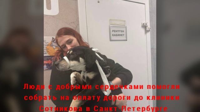 SOS! ТУЧКЕ СРОЧНО НУЖНА ПОМОЩЬ!