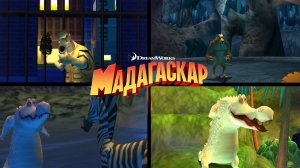 Мадагаскар ➤ ВСЕ БОССЫ