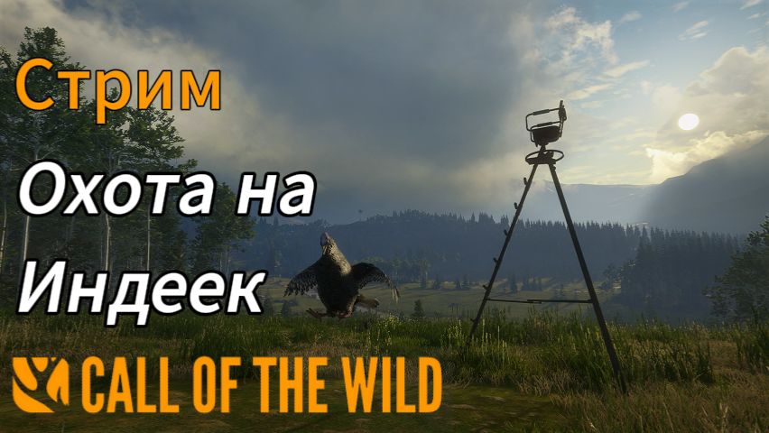 Охота на индеек в theHunter: Call of the Wild смотреть онлайн
