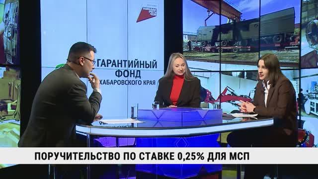 Поручительство по ставке 0,2 % для МСП / Карина Боровикова, Елена Литвинова смотреть онлайн