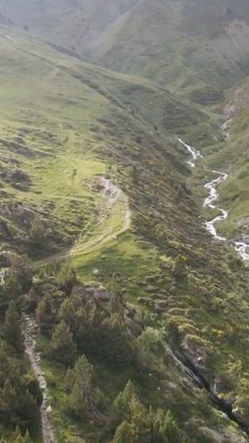 Սաղմոս/psalm/псалом 1