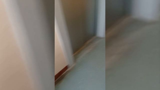 суббота ,утро,доставка