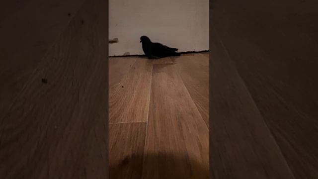 Говорите всегда хорошие слова и прогресс не заставит себя ждать🙂👍 смотреть онлайн