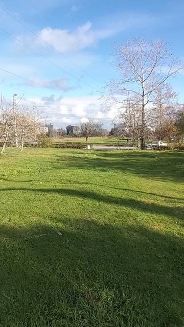 Декабрь в Крыму | Зима началась, но не как везде | Контраст Крыма и Новосибирска смотреть онлайн