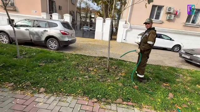 В сквере Лётчиков сегодня поливали деревья и кустарники смотреть онлайн
