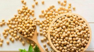 Еда из сои. Китай