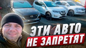Авто, которые пока можно купить! Утильсбор ввели