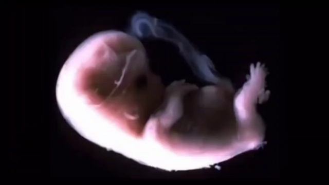 Путешествие Вояджера