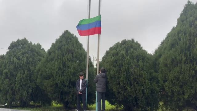 Новая неделя — новые цели! смотреть онлайн