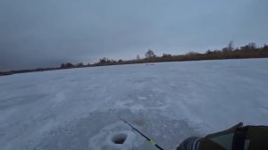 В ШОКЕ ОТ ТАКОГО КЛЕВА. ЗДЕСЬ ЩУКА КИШИТ. Столько рыбы я еще не ловил! Рыбалка на балансир