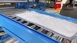 NG-01R Упаковочный пресс для подушек