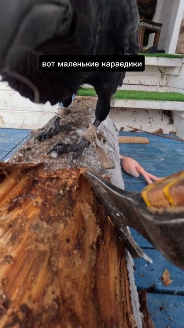 Подробней тут: смотреть онлайн