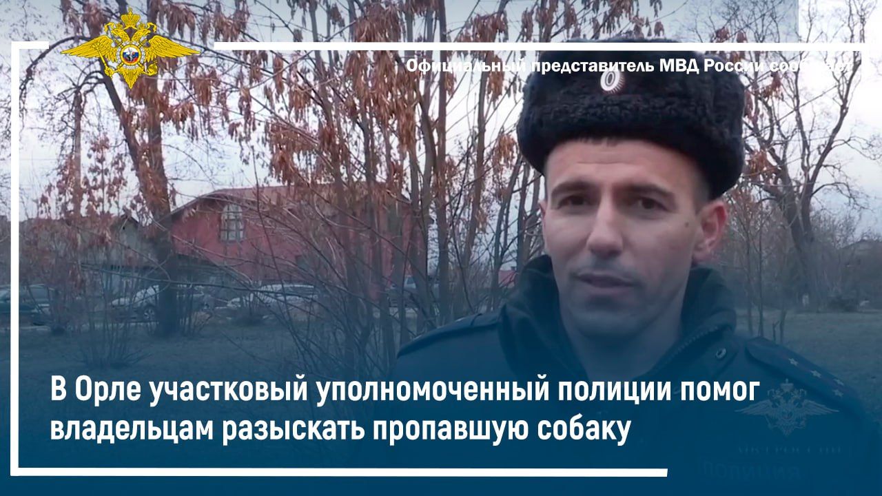В Орле участковый уполномоченный полиции помог владельцам разыскать пропавшую собаку смотреть онлайн