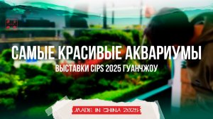 Самые красивые аквариумы выставки CIPS 2025 в Китае