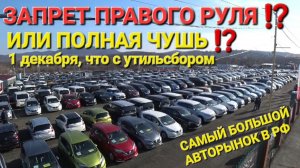 ЗАПРЕТ ПРАВОГО РУЛЯ? ИЛИ ЧТО ЗА ЧУШЬ? УТИЛЬСБОР 1 ДЕКАБРЯ С АВТОРЫНКА ВЛАДИВОСТОК СЕГОДНЯ