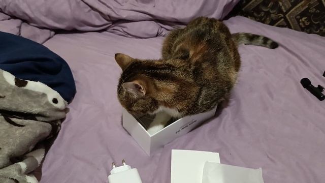 О Коробочка смотреть онлайн