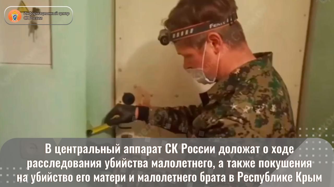 В центральный аппарат СК России доложат о ходе расследования убийства малолетнего смотреть онлайн