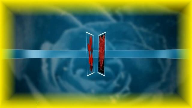 Поздравление на 8 Марта с женским Днём поздравления душевные смотреть онлайн