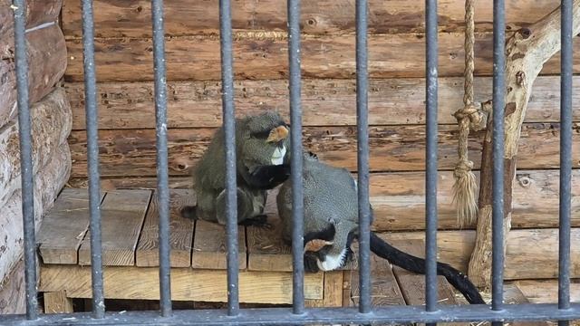 Крым гостиница Интурист смотреть онлайн