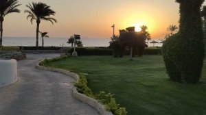 Отдых в Шарм-Эль-Шейхе, ноябрь 2025 г. Renaissance Golden View Beach Hotel.