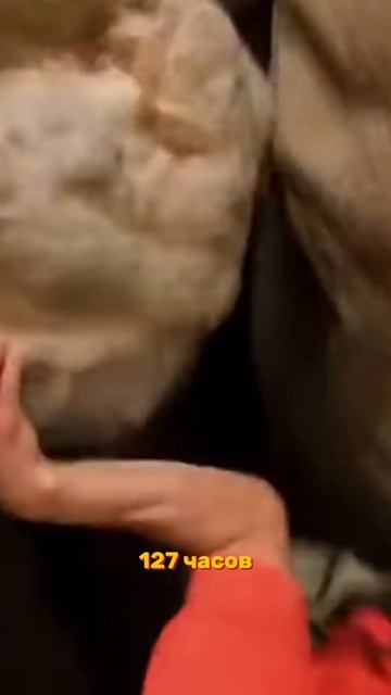 Фильмы которые мотивируют смотреть онлайн