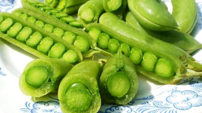 Подробно! Какие Сорта Сахарного ГОРОХА посадить Обзор коллекционных сортов СНЕПА и других горохов смотреть онлайн