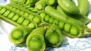 Подробно! Какие Сорта Сахарного ГОРОХА посадить Обзор коллекционных сортов СНЕПА и других горохов