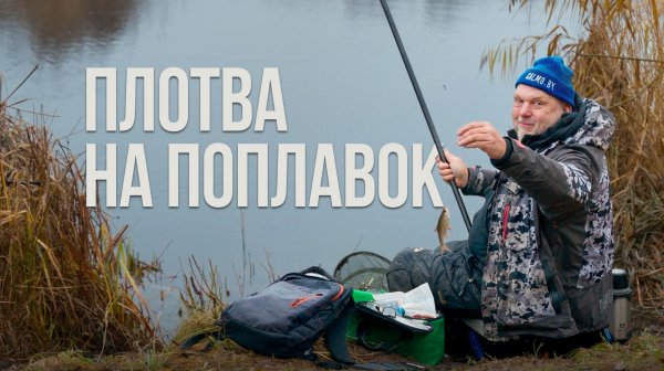 Как ловить плотву в предзимье? Насадки, прикормка и секреты Нормунда Грабовскиса