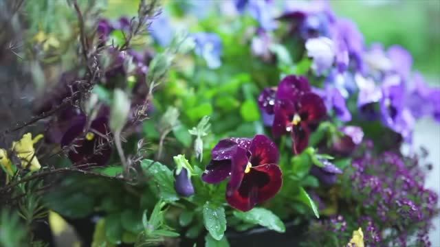 СКАЗОЧНЫЙ ЧАСТНЫЙ САД 🌸 10 СОВЕТОВ ПО СОЗДАНИЮ САДА смотреть онлайн