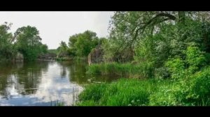 Биробиджан- мой таёжный причал