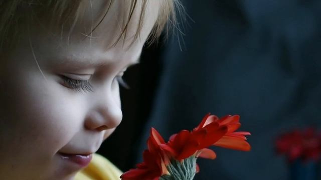 Поздравление на День защиты детей поздравления с Днём смотреть онлайн