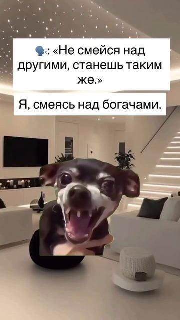 #217 || МЕМЫ || ПРИКОЛЫ || ЮМОР смотреть онлайн