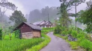 ПРОГУЛКА В СИЛЬНОМ ДОЖДЕ В КРАСИВОЙ ИНДОНЕЗИЙСКОЙ ДЕРЕВНЕ, ДОЖДЬ ДЛЯ СНА И ОТДЫХА