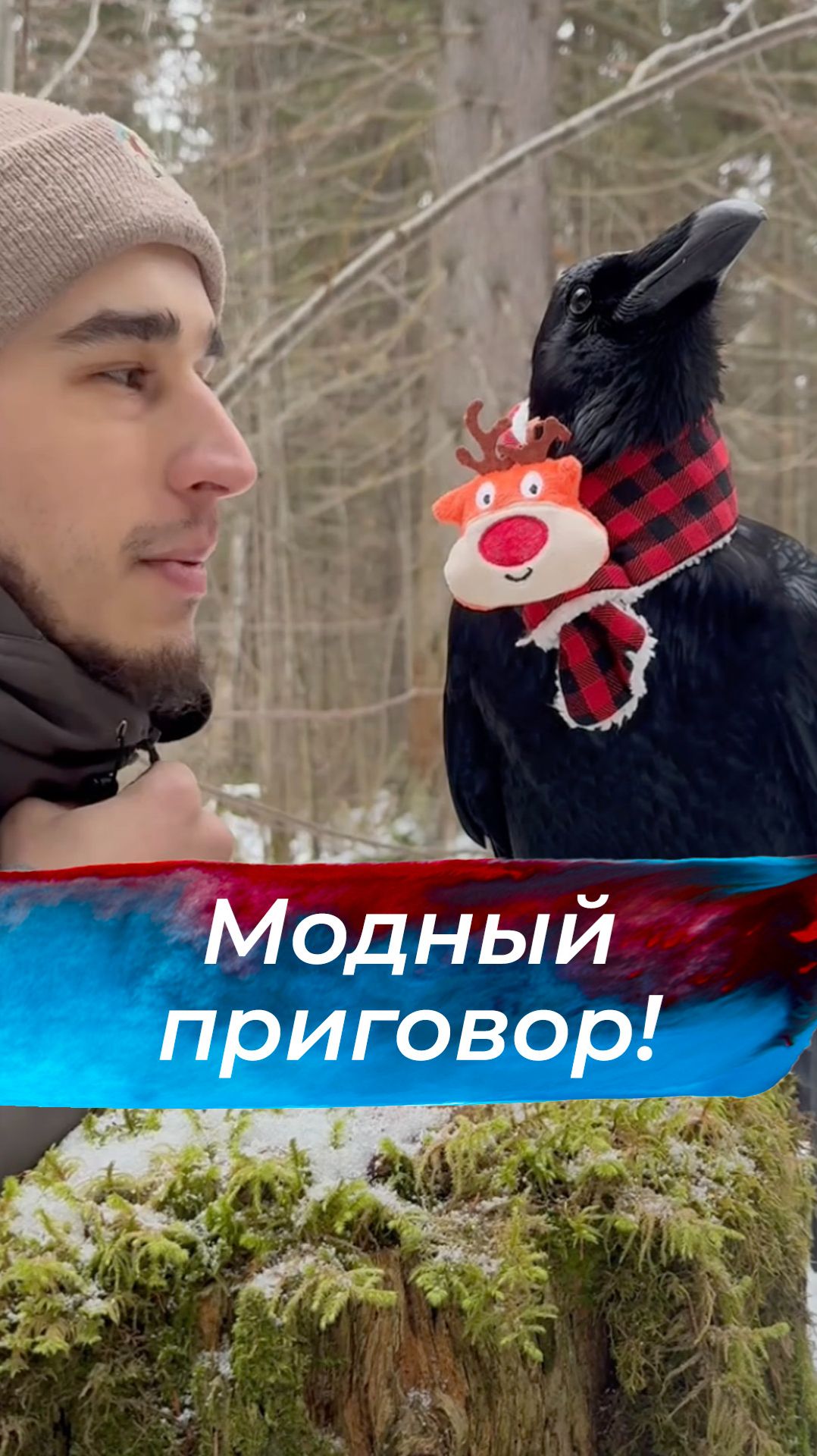 Лесной модник смотреть онлайн