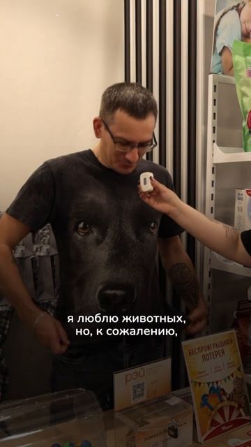 Собрали впечатления гостей о фестивале «Тыквы и Коты»! смотреть онлайн