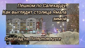 Пешком по Салехарду:столица Ямала зимой. Снегопад.Администрация города.Салон северных подарков.Рынок