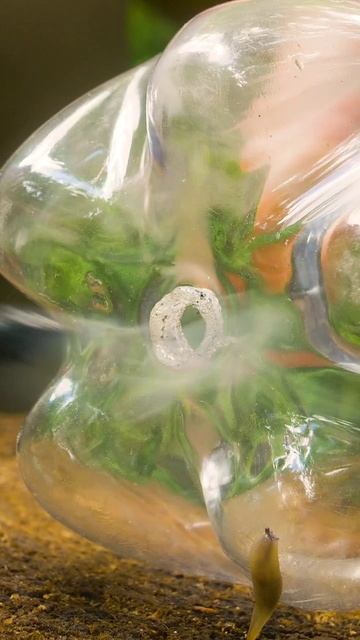 запомни этот лайфхак с бутылкой и верёвкой смотреть онлайн