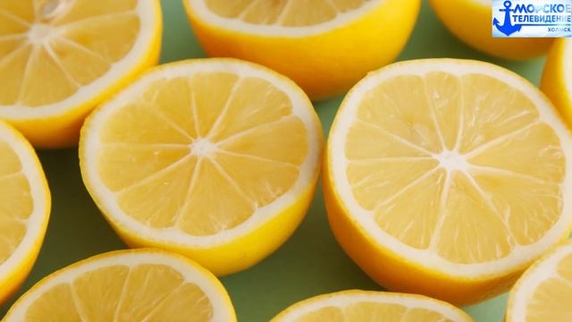 Песня: Я так давно не ел краба (В стиле рок-н-ролл) смотреть онлайн