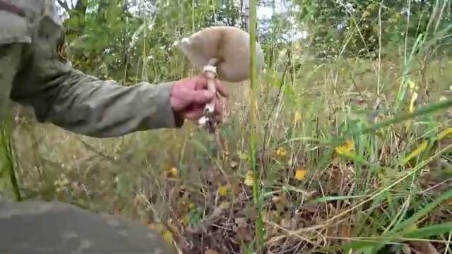 Ворвались в Припять на СТАЛКЕРСКОМ ЗАПОРОЖЦЕ 😱 Погоня на машине в Чернобыльском лесу 👍