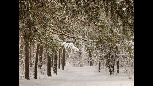 Видео. Красивая музыка для Души. Зимний - лес. смотреть онлайн