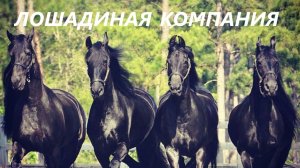 Органайзер и подушка.Подарки с символом года.(декабрь 2025г)