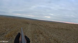 ОХОТА НА ЗАЙЦА НА КУКУРУЗНОМ ПОЛЕ. ОХОТА ОНА ТАКАЯ.