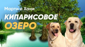 КИПАРИСОВОЕ ОЗЕРО / АНАПА, СУККО / ПОЕЗДКА С СОБАКАМИ / ДОГ ФРЕНДЛИ
