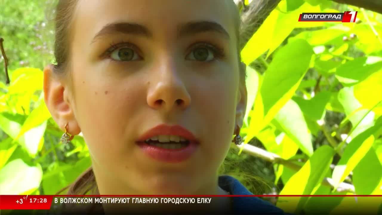 Live: Телеканал «Волгоград 1» смотреть онлайн