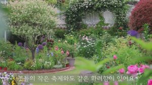УДИВИТЕЛЬНОЙ КРАСОТЫ ЧАСТНЫЙ САД В ЮЖНОЙ КОРЕЕ  МАЙ 2025