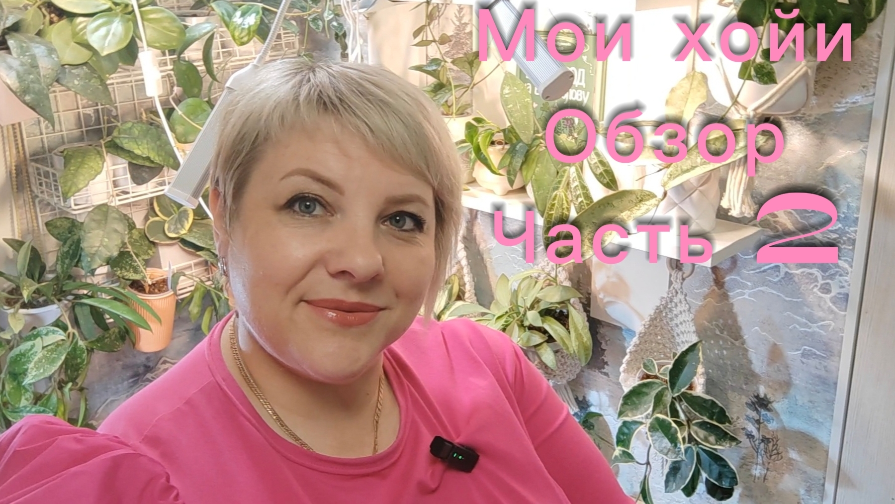 Мои хойи | Обзор | Часть 2 смотреть онлайн